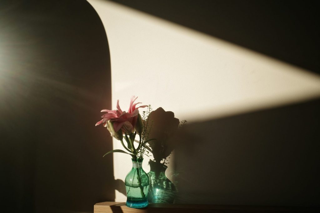 Two flowers in vases with dramatic light